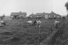 Datering 1967. Het bungalow-park in Venhorst