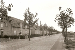 Datering 1950. Schafratstraat